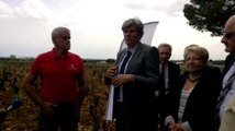 Le ministre Stephane Le Foll defend une agriculture...