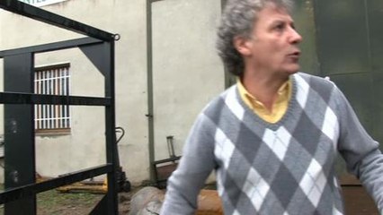 Renovation a Lyon des elephants de...