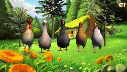 Hen Vs Duck Finger Family English Nursery Children Rhymes