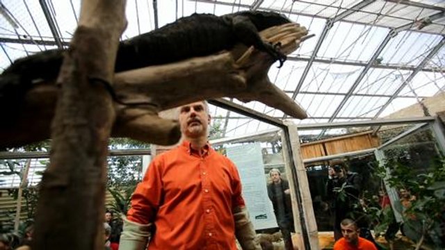 La Ferme aux crocodiles accueille deux des plus gros lezards du...