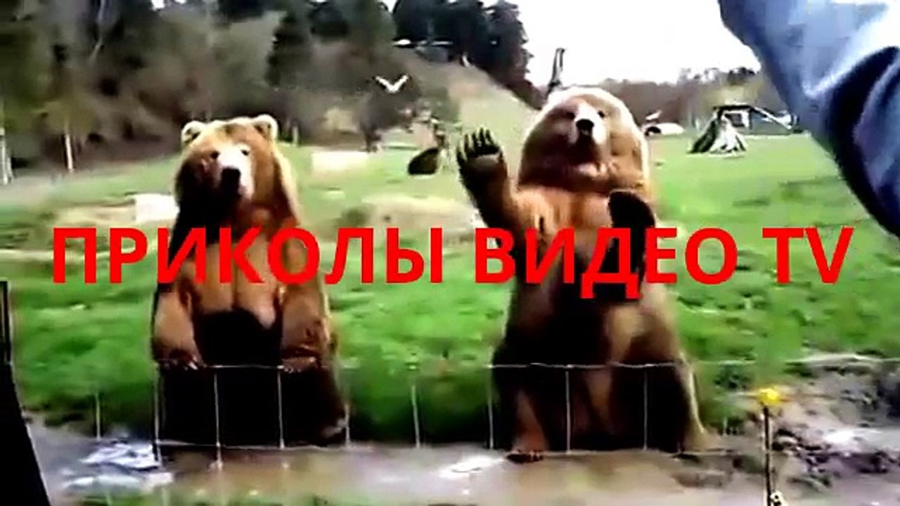Приколы.Живой автомобильный стартер