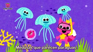 Bajo el Mar _ Animales _ PINKFONG Canciones Infantiles-E3CMnKutzzg