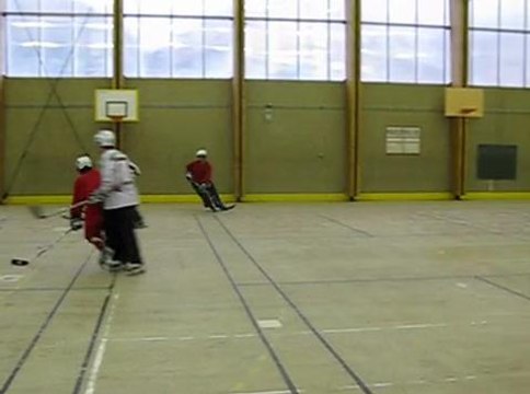 Bûcherons haut-alpins