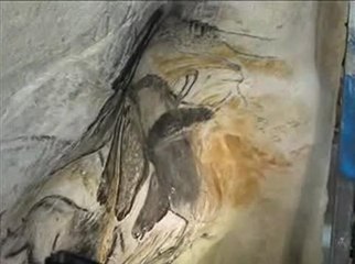 grotte de chauvet