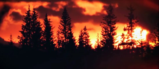 Amityville Exorcism Official Trailer