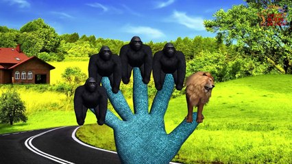 Owl Finger Family | 3D Animation | English Nursery Rhymes | Animals Finger Family