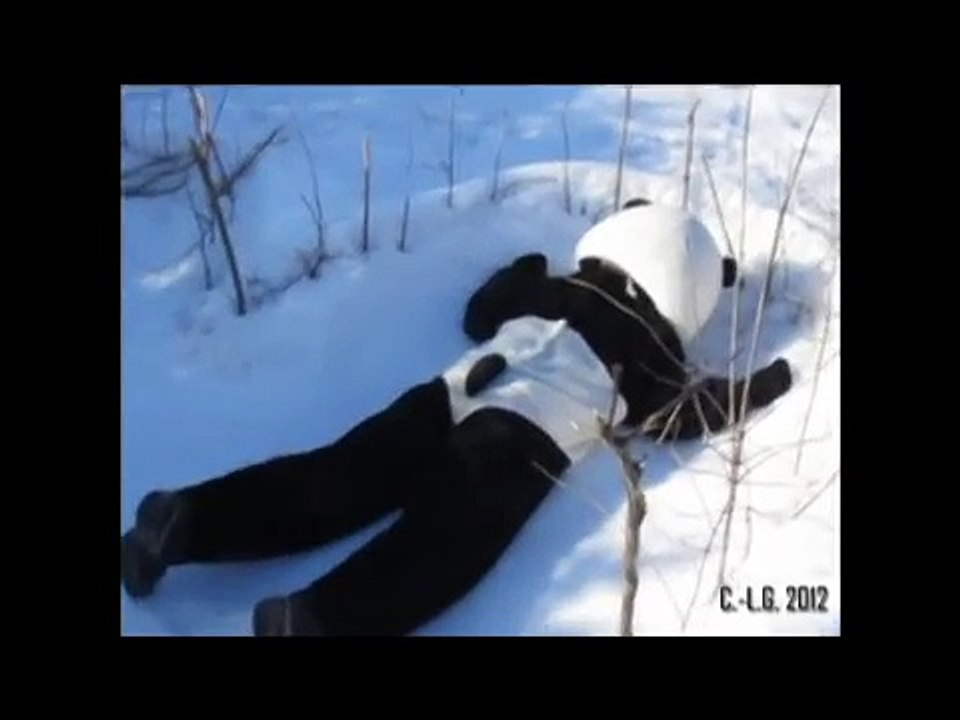 Février Vincent Vallières