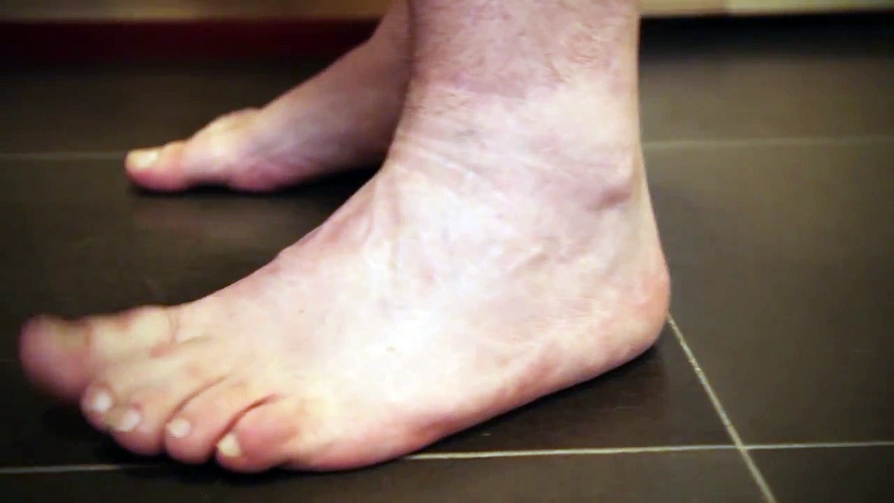 AnimeLab Pre-roll - Scales-U-bMAEZpDoI
