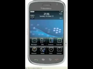 BlackBerry Storm Demonstration!