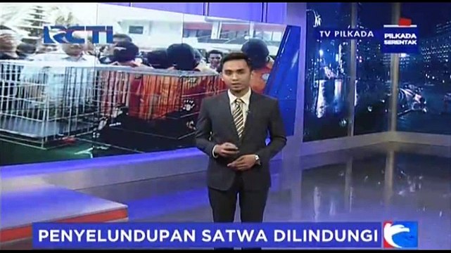 Petugas Gagalkan Penyelundupan 70 Satwa Dilindungi