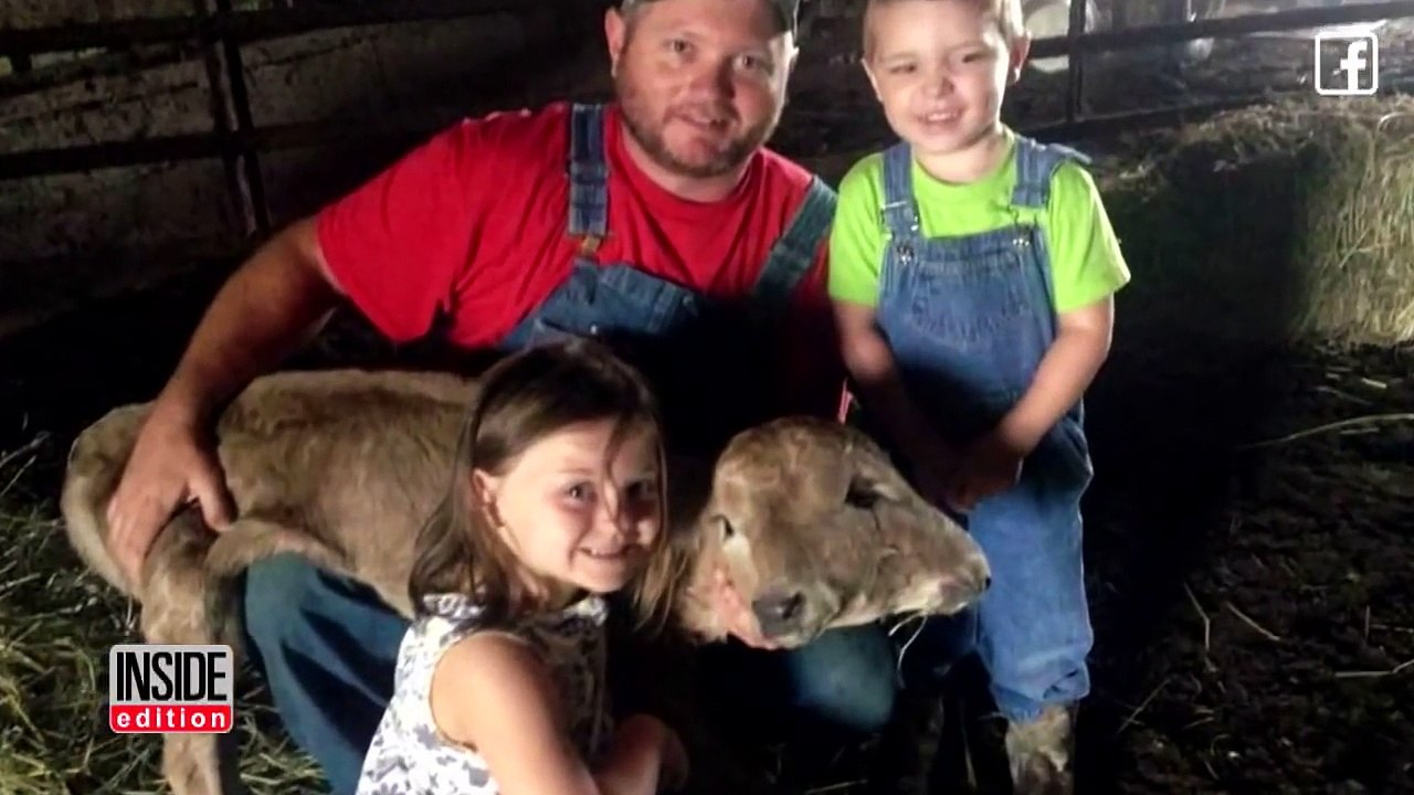 Lucky the 2-Headed Cow Defies Odds, Might be Getting Surgery-udoFrVpUl38