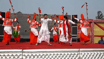 Lavi no. 1 musical group 9815475374 7837309326 (3)