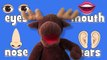 Eyes Nose Mouth Ears Song _ Learn Body Parts-B2pmcJPQW3Q