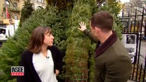 NYC Christmas Tree Vendor Charges $1,000 For Rare Holiday Firs-0V-pGzO2oLI
