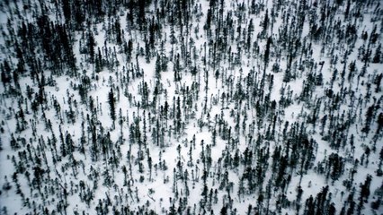 Honda 'Ends of The Earth'-UUF6c5HVCHA