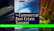 Read  The Commercial Real Estate Tsunami: A Survival Guide for Lenders, Owners, Buyers, and