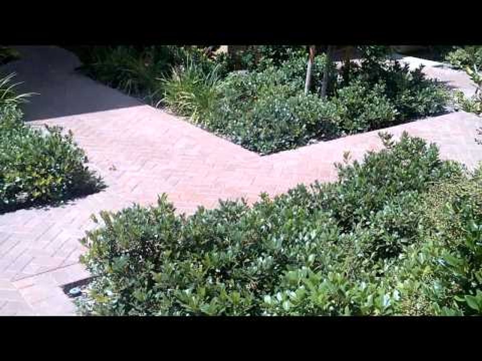 Blackberry Bold 9900: HD Video