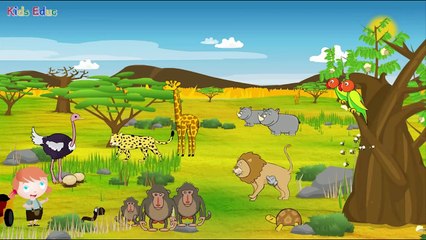 Learn About Wild Animals, Animal Sounds, Fun and Educational Videos for Kids