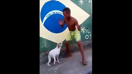 Due Amici che ballano a Ritmo di Musica...