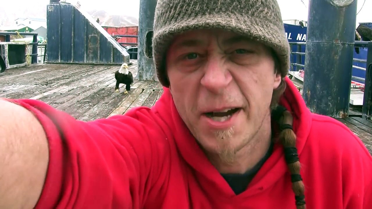 Un pêcheur nourrit un grand groupe d’aigles chauves, puis la caméra se tourne vers la gauche...