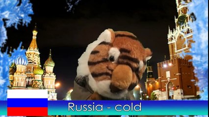 International Weather Report - Simple Skits-gpBuaU5OPi8