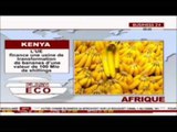 Business / FLash Eco Afrique - L'UE finance une usine de transformation de banane / Business 24