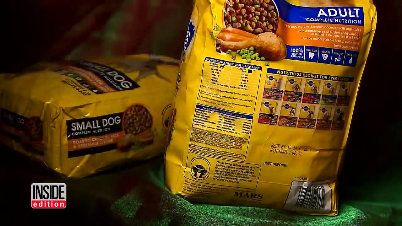 How You Can Really Tell What Is Inside Your Dog's Favorite Food-ulfQ_6ZnUWg