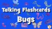 Learn Bugs Vocabulary _ Talking Flashcards-DViQ0ZhNGig