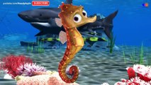 Learn Sea Animals Amazing   Sea Animals Names and sounds for Kids   Hanplaytv Learn Animal