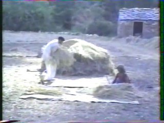 Sri Nisargadatta Maharaj VF1