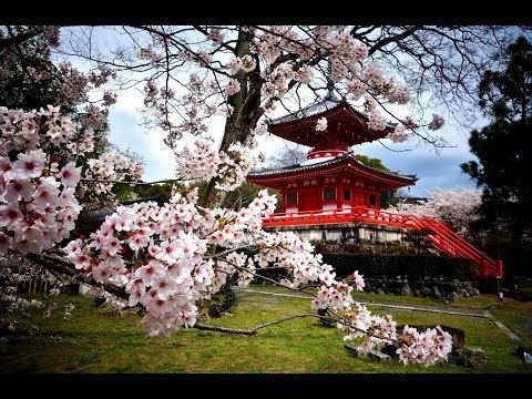 Japanese Instrumental Music Traditional | Relaxing Japanese Music - Japan Anime Music