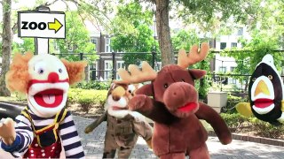 Let's Go To the Zoo _ Animal Song for Kids-bTKPIYdkQdw