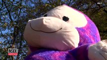 Why This Giant Stuffed Purple Monkey Is Making People Smile In One Town-RwO7hZFDiZk