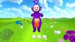 Teletubbies Learn Counting. Tinky Winky's Adventures. English version, Learn with Tinky Winky (HD)