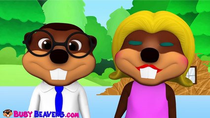 'Finger Family Beavers Pop' _ Children's Nursery Rhyme, Animal Song for Kids, 3D Learning-WPWeqMF261Q