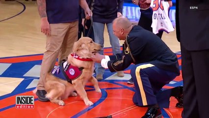 Army Vet Drops To His Knees In Shock When He's Surprised with Service Dog-SDHI2SX7mH4