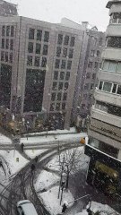 Warm Front Snow At Istanbul - Nisantasi 10.01.2017