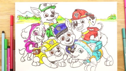 1, 2, 3… Coloriage | Épisode 125 (EN INTEGRALITE) | NICKELODEON JUNIOR