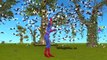 Fat Spiderman Finger Family Nursery Rhymes Collection | 3D Animation Spiderman Cartoon Finger Family