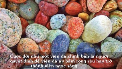 Câu Nói Hay - 20 Câu Nói Ý Nghĩa Về Cuộc Sống