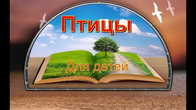 Развивающий мультик для детей по методу Домана (птицы 1-я часть) РАЗВИВАЮЩИЙ МУЛЬТИК