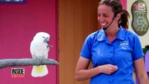 Pregnant Zookeeper Keeps Track Of Baby's Size Using Odd, But Cute Animals-dHYAXyCoxCY
