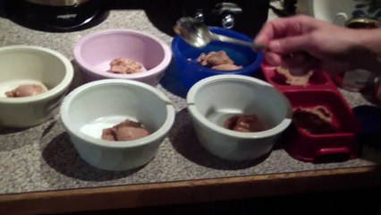 Husky Groomed by Cat-lBlP-dZDWgs