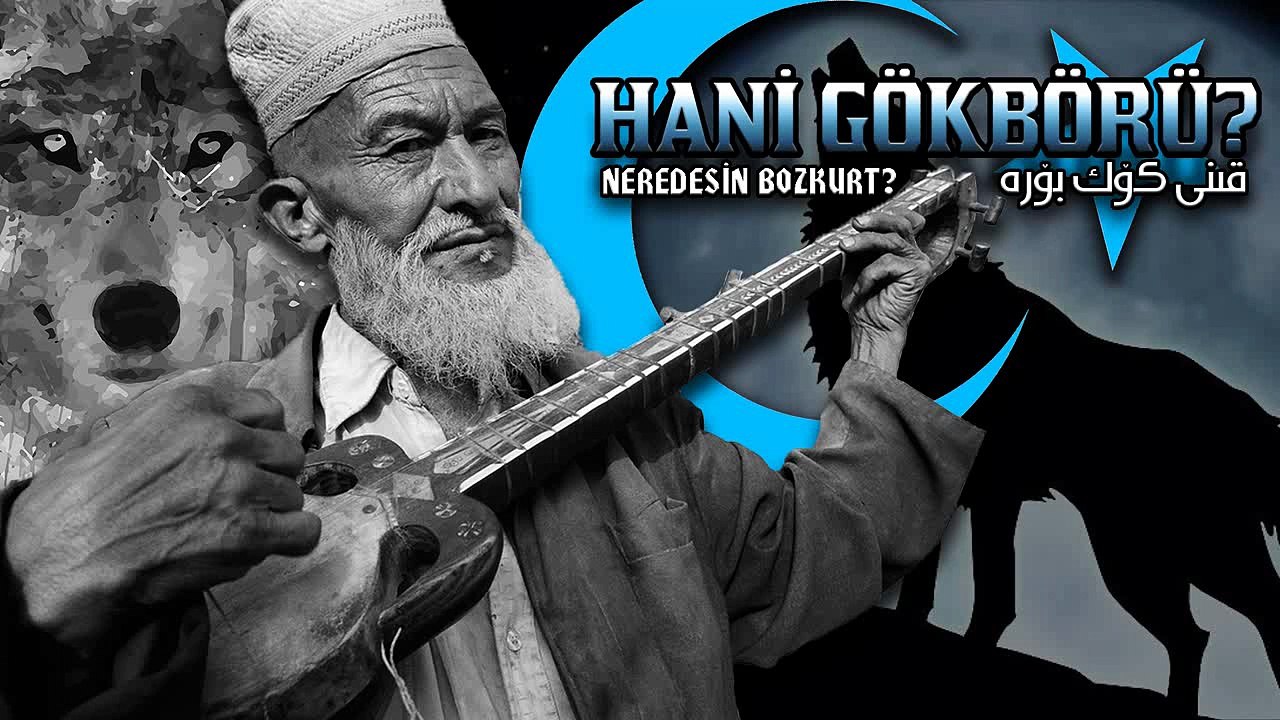 Acının sesi - Hani Gökbörü - Neredesin Bozkurt