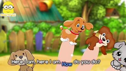 Dora The Explorer Finger Family Nursery Rhymes and More Lyrics