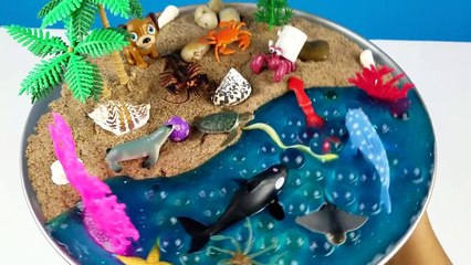 Learning videos for kids 2017   Learning Sea Animals Color # (2)