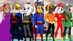 JUSTICE LEAGUE #PAWPATROL SUPERHEROES w SUPERMAN CHASE | PAINTING #ANIMATION