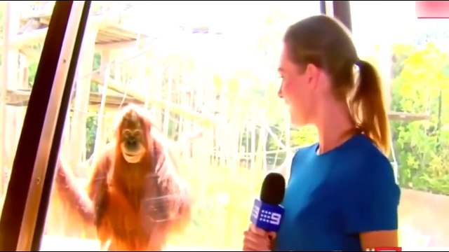 ДЕТЯМ НЕ СМОТРЕТЬ ТОЛЬКО ДЛЯ ВЗРОСЛЫХ Топ ПРИКОЛы №298