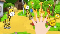 Finger Family Giraffe | Fun Animal Finger Family Nursery Rhymes Songs For Children