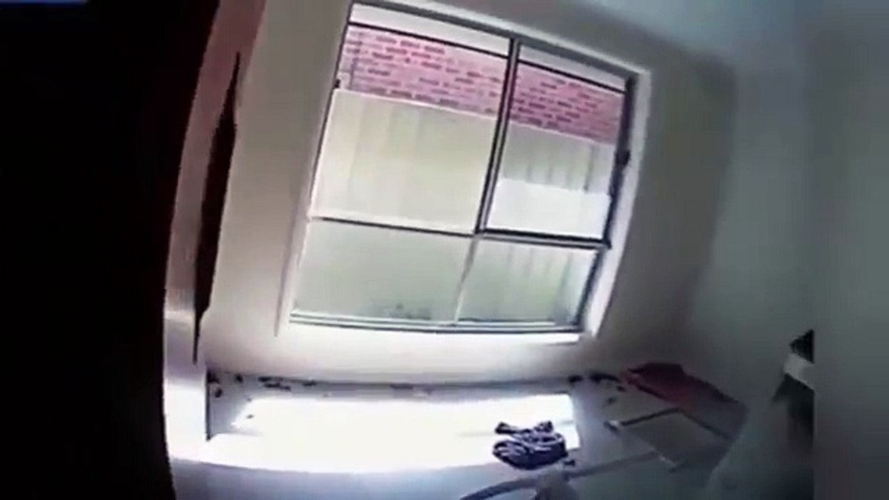 Woman locked 14 cats in her house For Few Days See What Happened